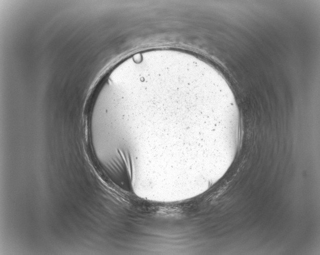 X0000051861509200507221843