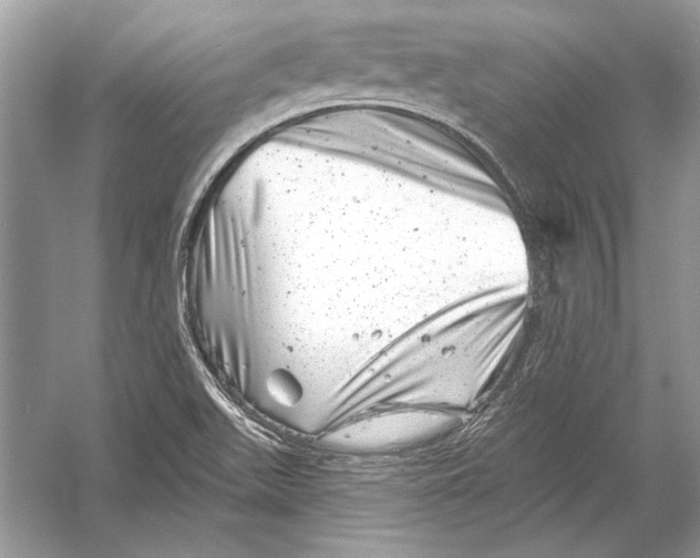 X0000051861511200507221843