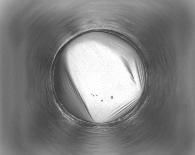 X0000051861513200507221843