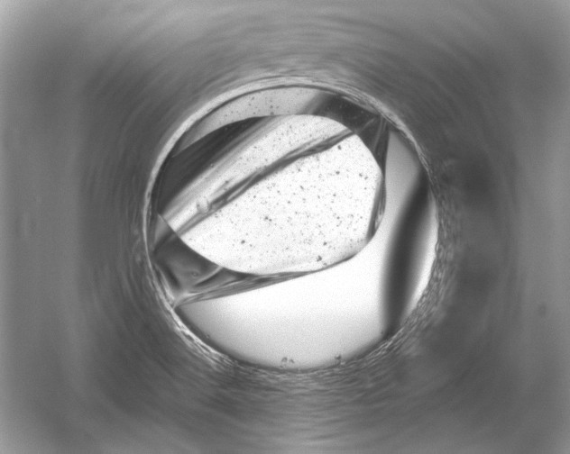 X0000051861516200507221843