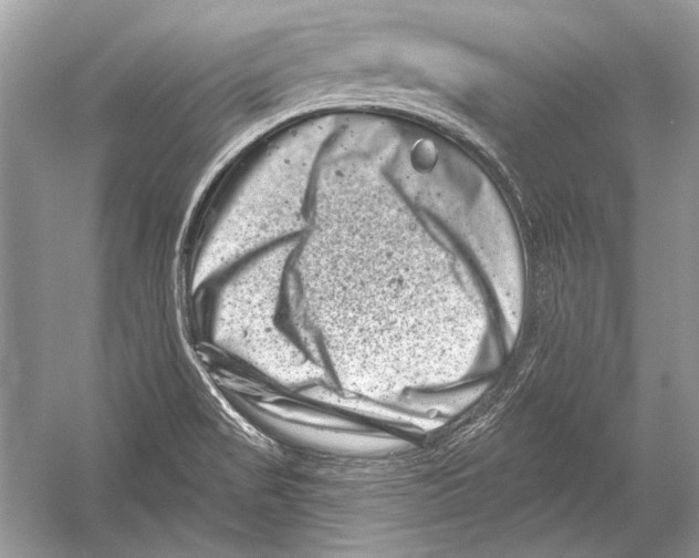 X0000051861517200507221843