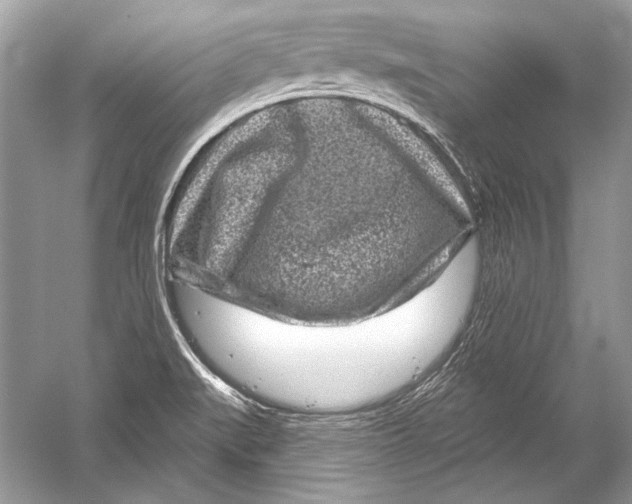 X0000051861519200507221843