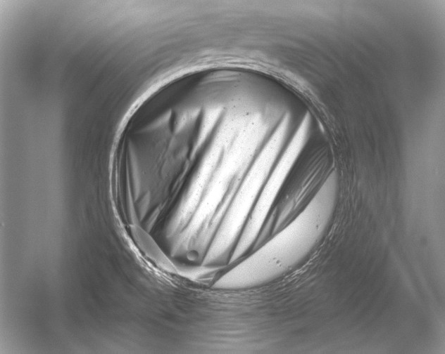 X0000051861520200507221843