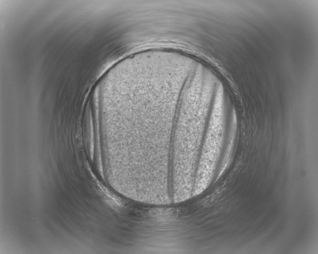 X0000051861521200507221843