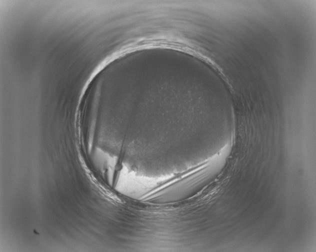 X0000051861522200507221843