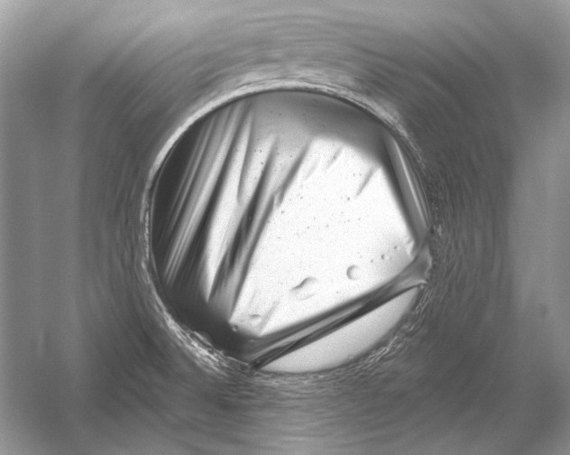 X0000051861524200507221843