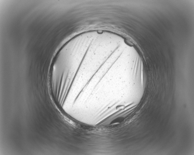 X0000051861525200507221843