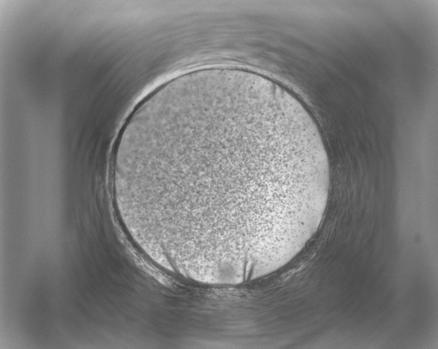 X0000051861526200507221843