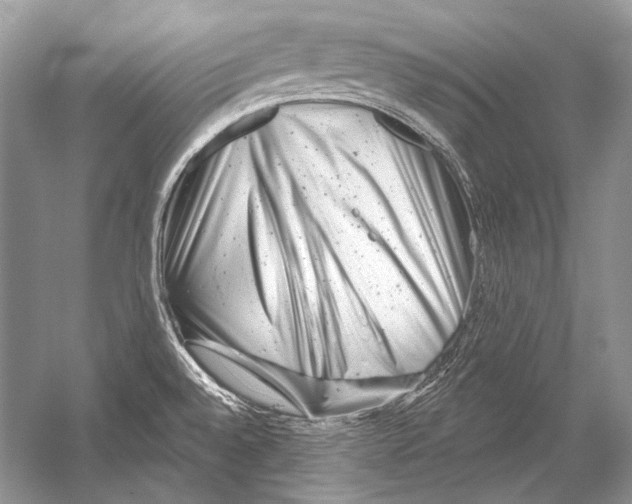 X0000051861528200507221843