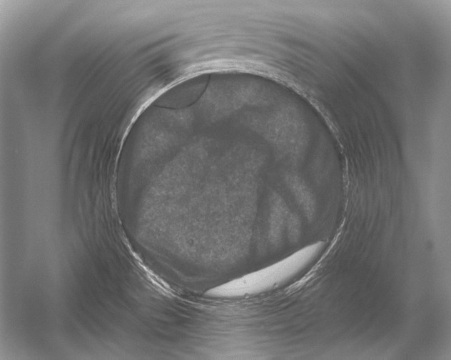 X0000051861529200507221843