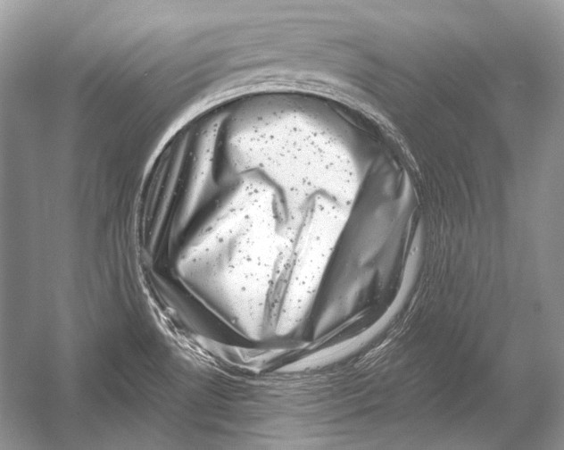 X0000051861530200507221843