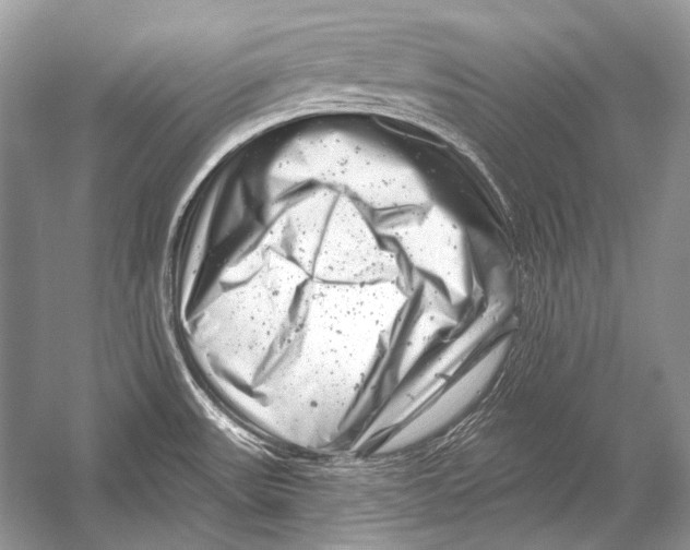 X0000051861531200507221844