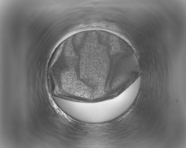 X0000051861534200507221844