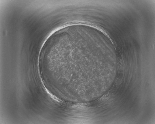 X0000051861535200507221844