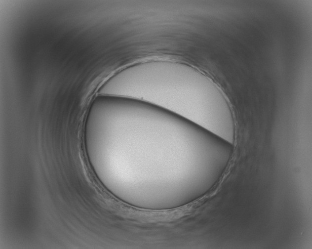 X0000051870001200506241040