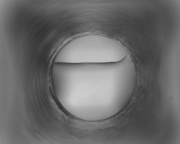 X0000051870002200506241040