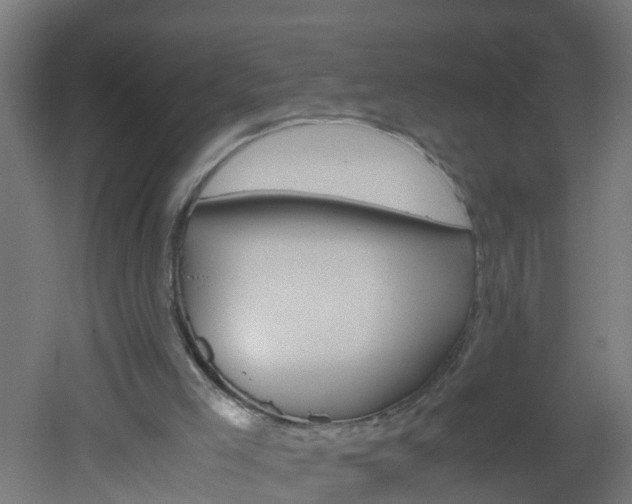 X0000051870005200506241040