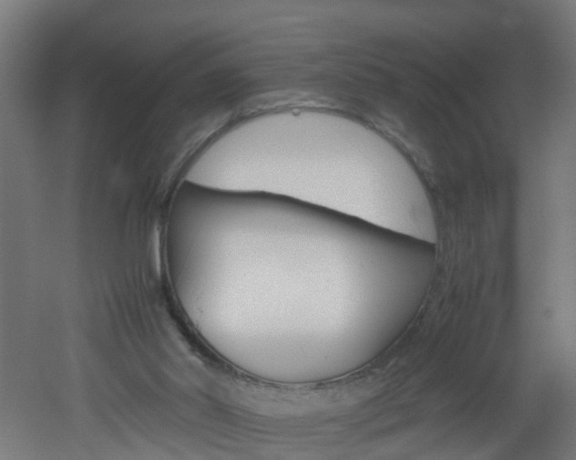 X0000051870014200506241040