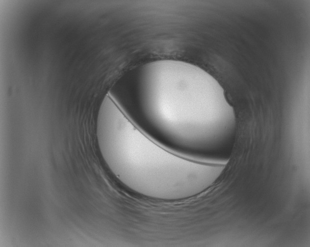 X0000051870040200506241040