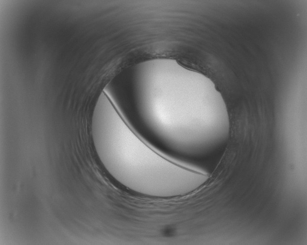 X0000051870044200506241039
