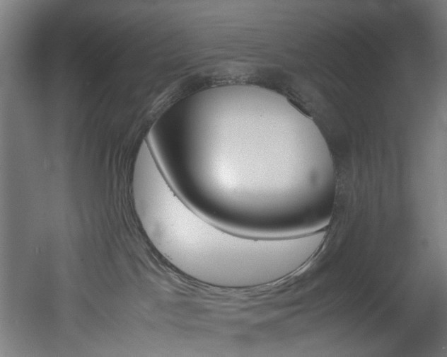 X0000051870045200506241039