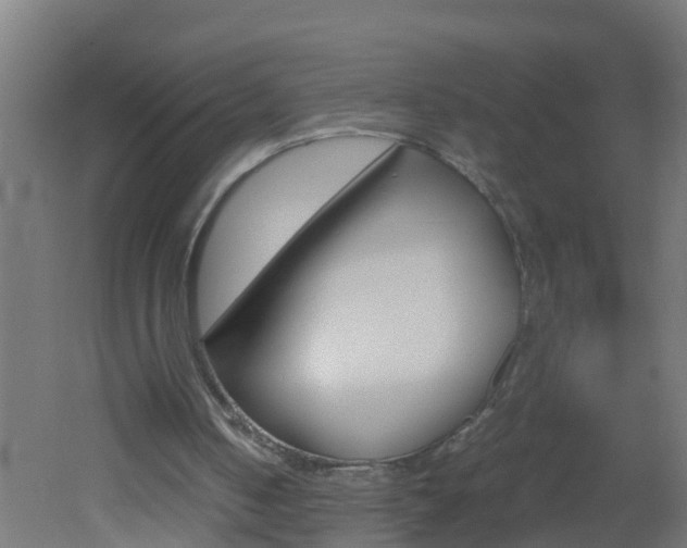X0000051870050200506241039