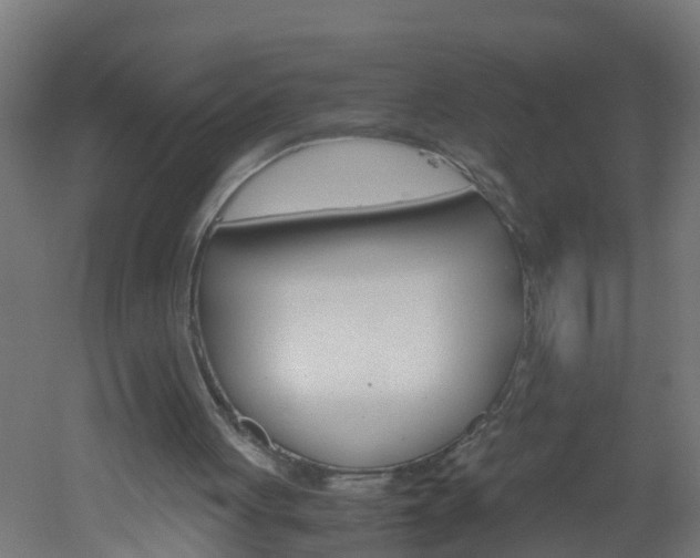 X0000051870051200506241039