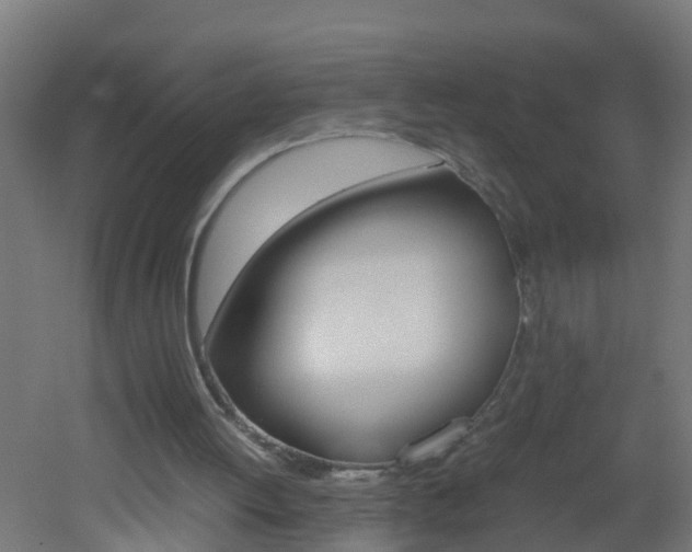X0000051870052200506241039