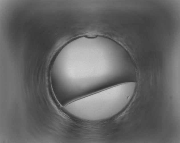X0000051870055200506241039