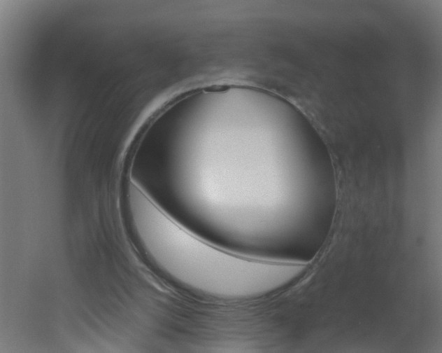 X0000051870056200506241039