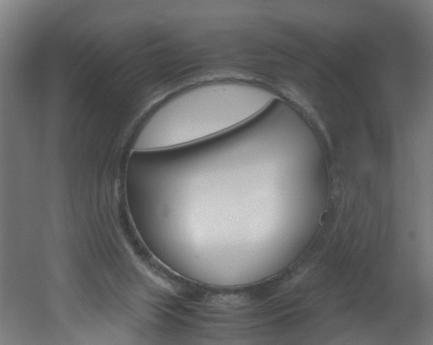 X0000051870063200506241039