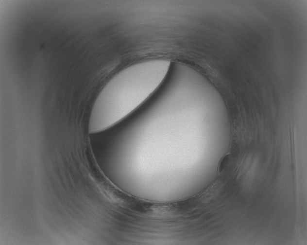 X0000051870070200506241039