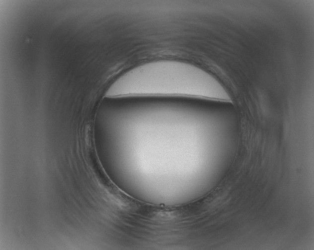X0000051870071200506241039