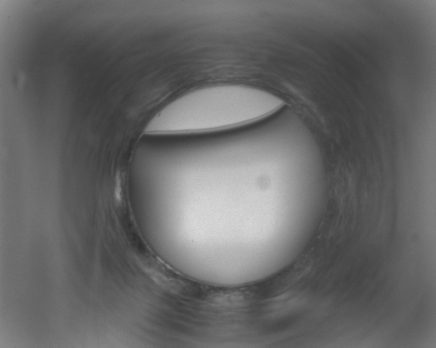 X0000051870075200506241039