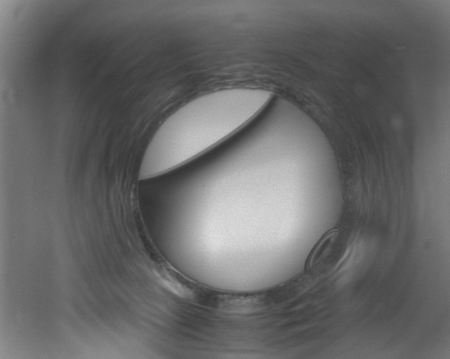 X0000051870081200506241039