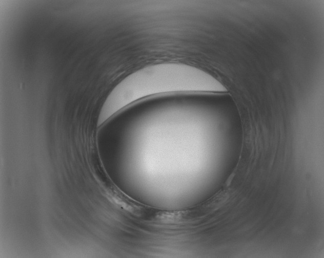X0000051870084200506241039