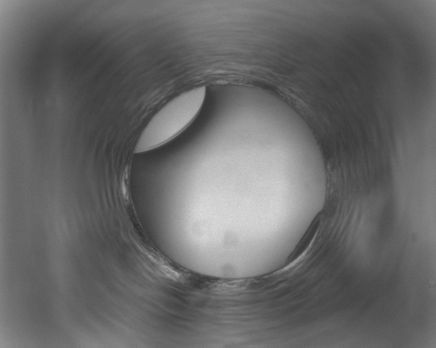 X0000051870094200506241039