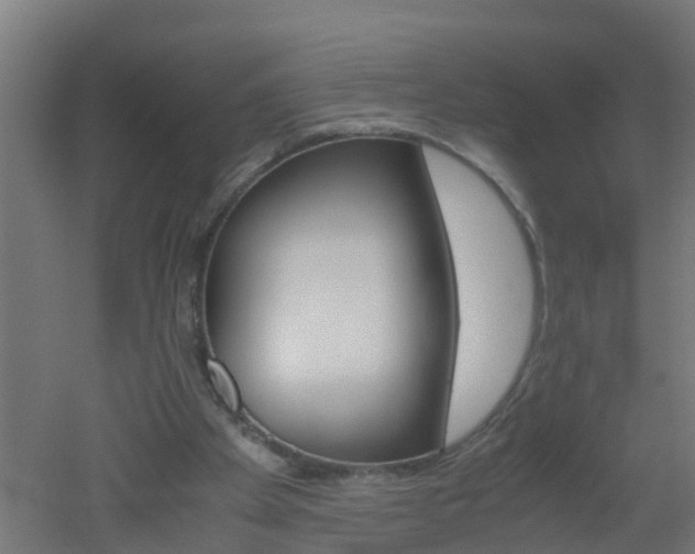 X0000051870105200506241038
