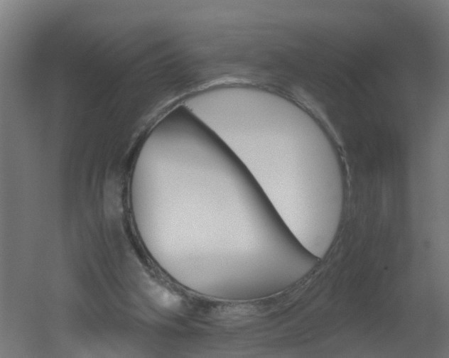 X0000051870106200506241038