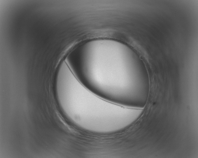 X0000051870107200506241038