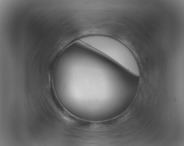 X0000051870109200506241038