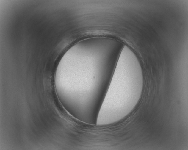 X0000051870111200506241038