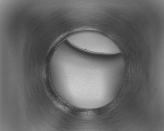 X0000051870112200506241038