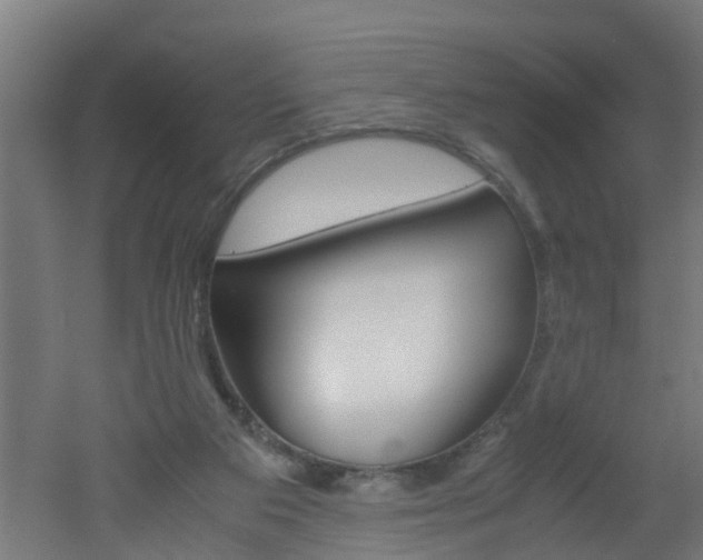 X0000051870113200506241038