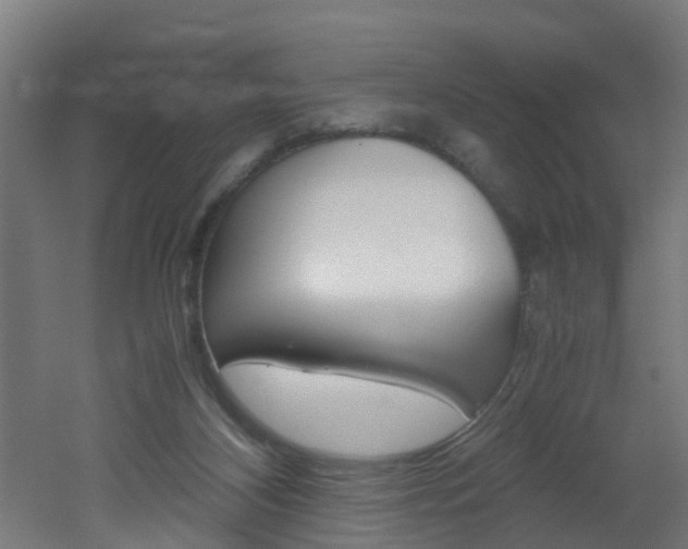 X0000051870116200506241038