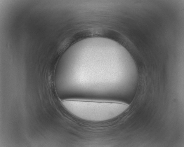 X0000051870123200506241038