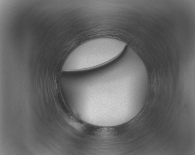 X0000051870128200506241038
