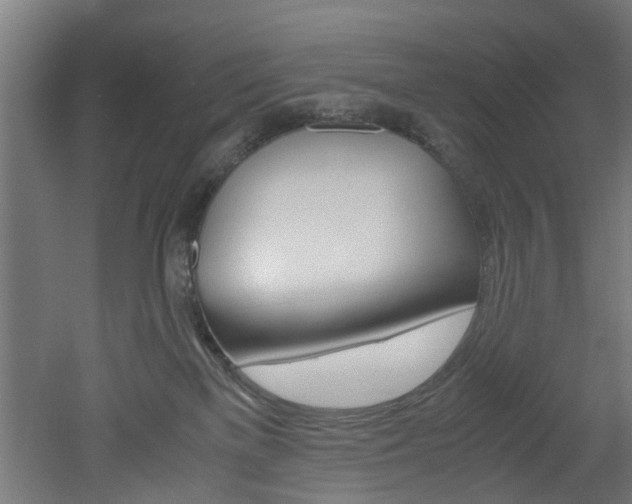 X0000051870137200506241038