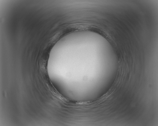 X0000051870141200506241038