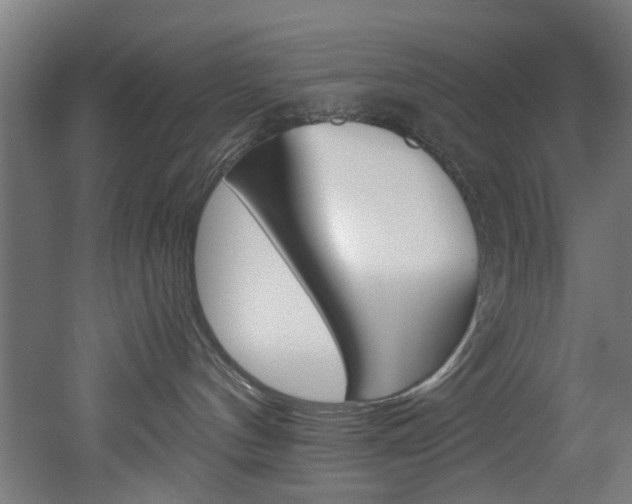 X0000051870144200506241038